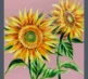 Sunflower 4 grey2
