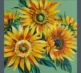 Sunflower 5 grey