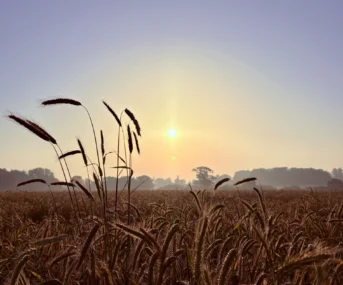 Howard King Photography Competition Winner 2026