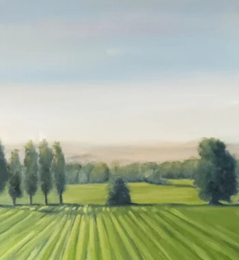Madeleine Tapp 2026 7 Header