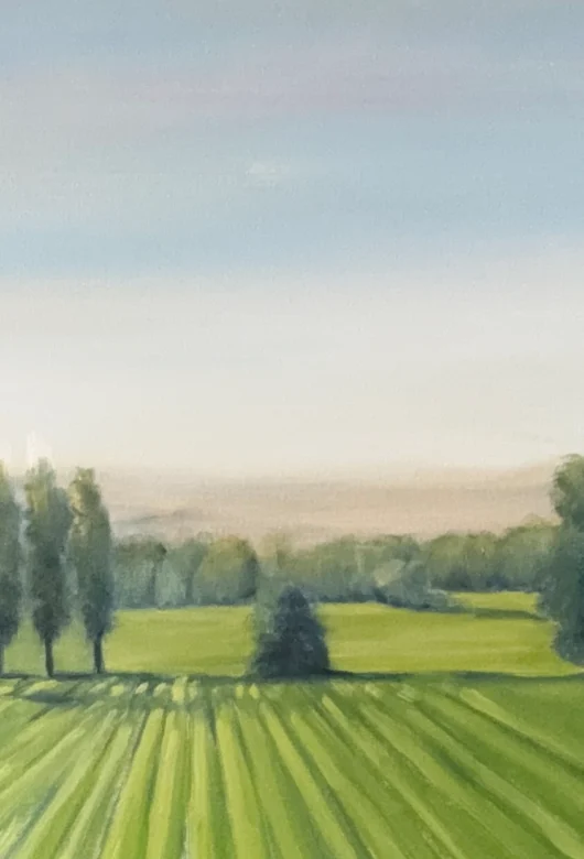 Madeleine Tapp 2026 7 Header