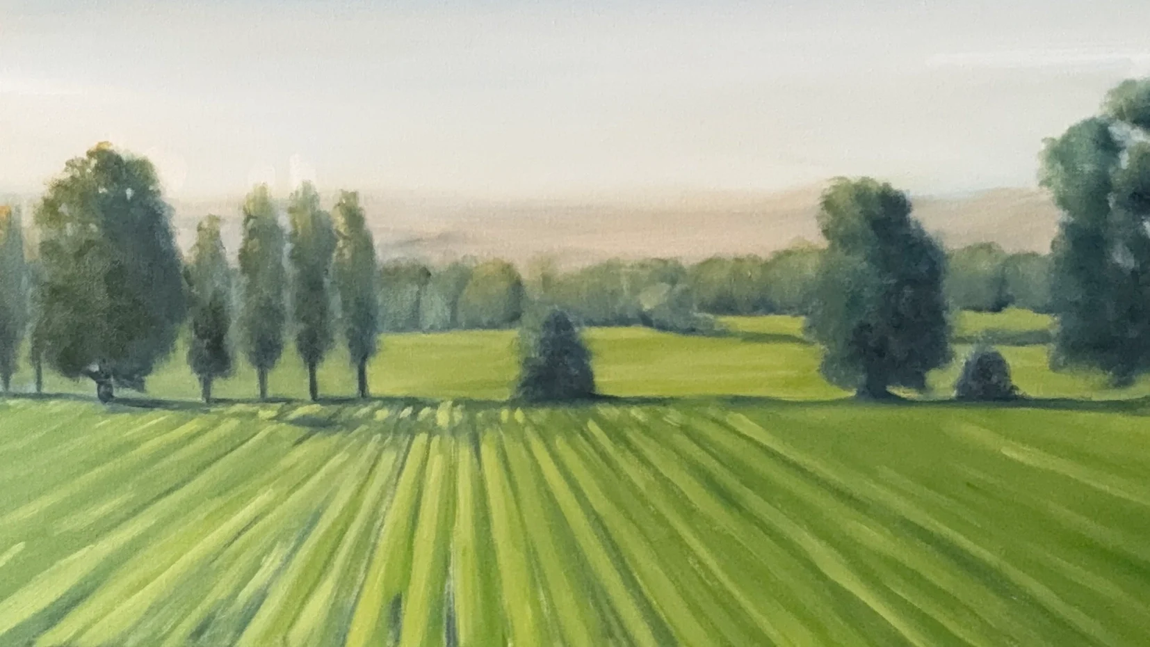 Madeleine Tapp 2026 7 Header2