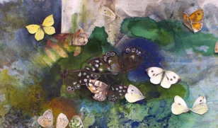 Gilly Crow Book Cover Header
