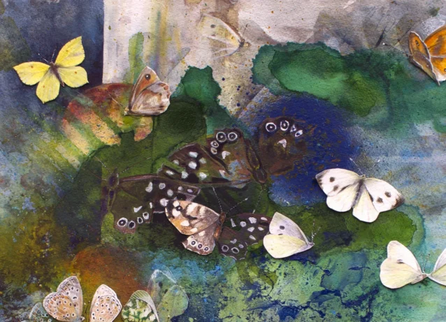 Gilly Crow Book Cover Header