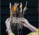 Wild Weave Workshop CHB Grey 2026 13