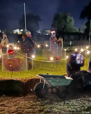 Pumpkins at night 3