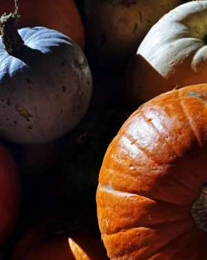 Pumpkins at night 4