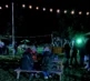 Pumpkins at night 7