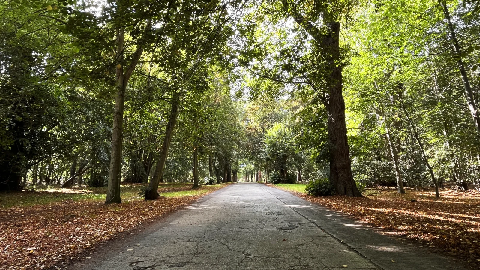 Avenue Sept 2026