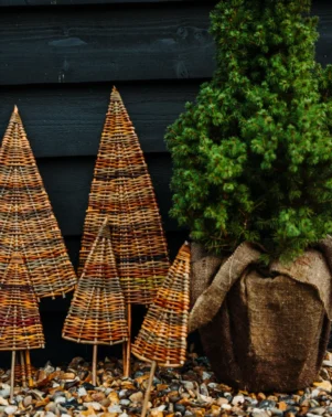 Willow Weaving 2026 Flat Trees Grey 1