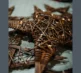 Willow Weaving 2026 Big Star Grey 1