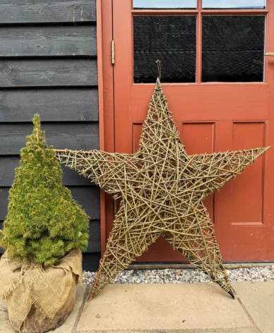 Willow Weaving 2026 Big Star Grey 2