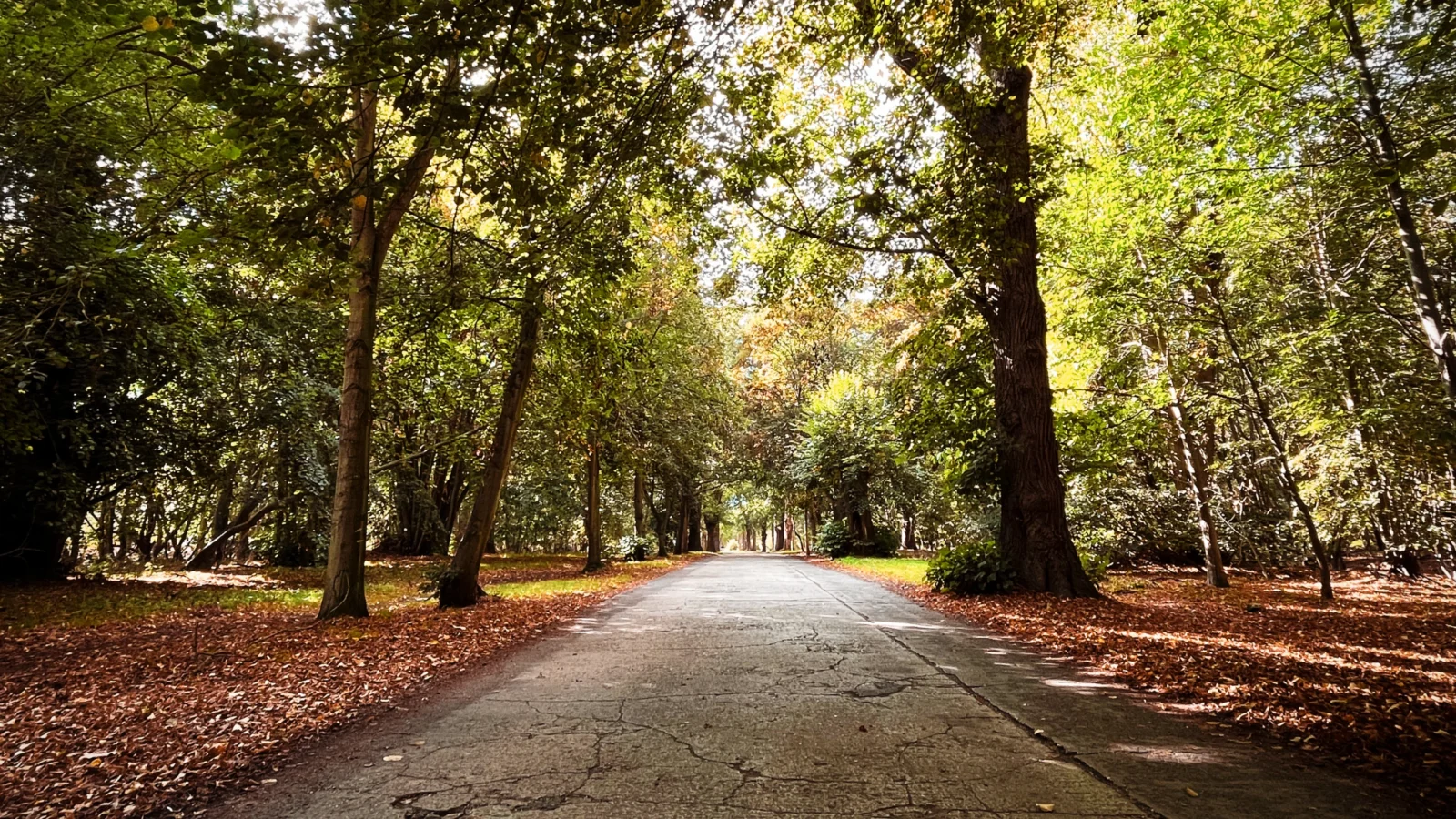 Avenue Sept 2026 2