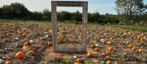 Pumpkin Recipe 2026 Header 1
