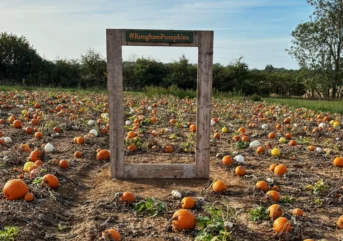 Pumpkin Recipe 2026 Header 1