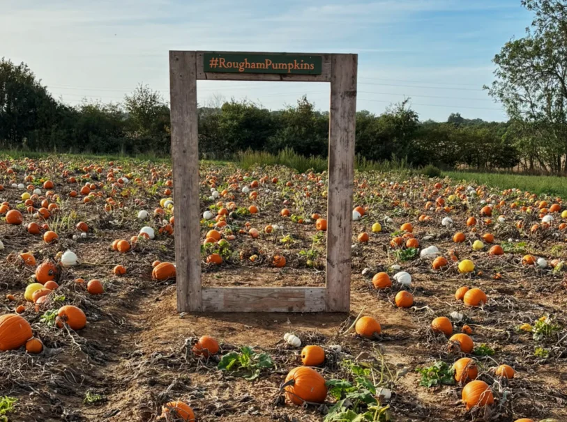 Pumpkin Recipe 2026 Header 1