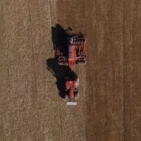 Oilseed Rape Drilling Sept26