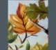 Canvas Club Autumn Leaves grey 2