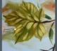 Canvas Club Autumn Leaves grey 3