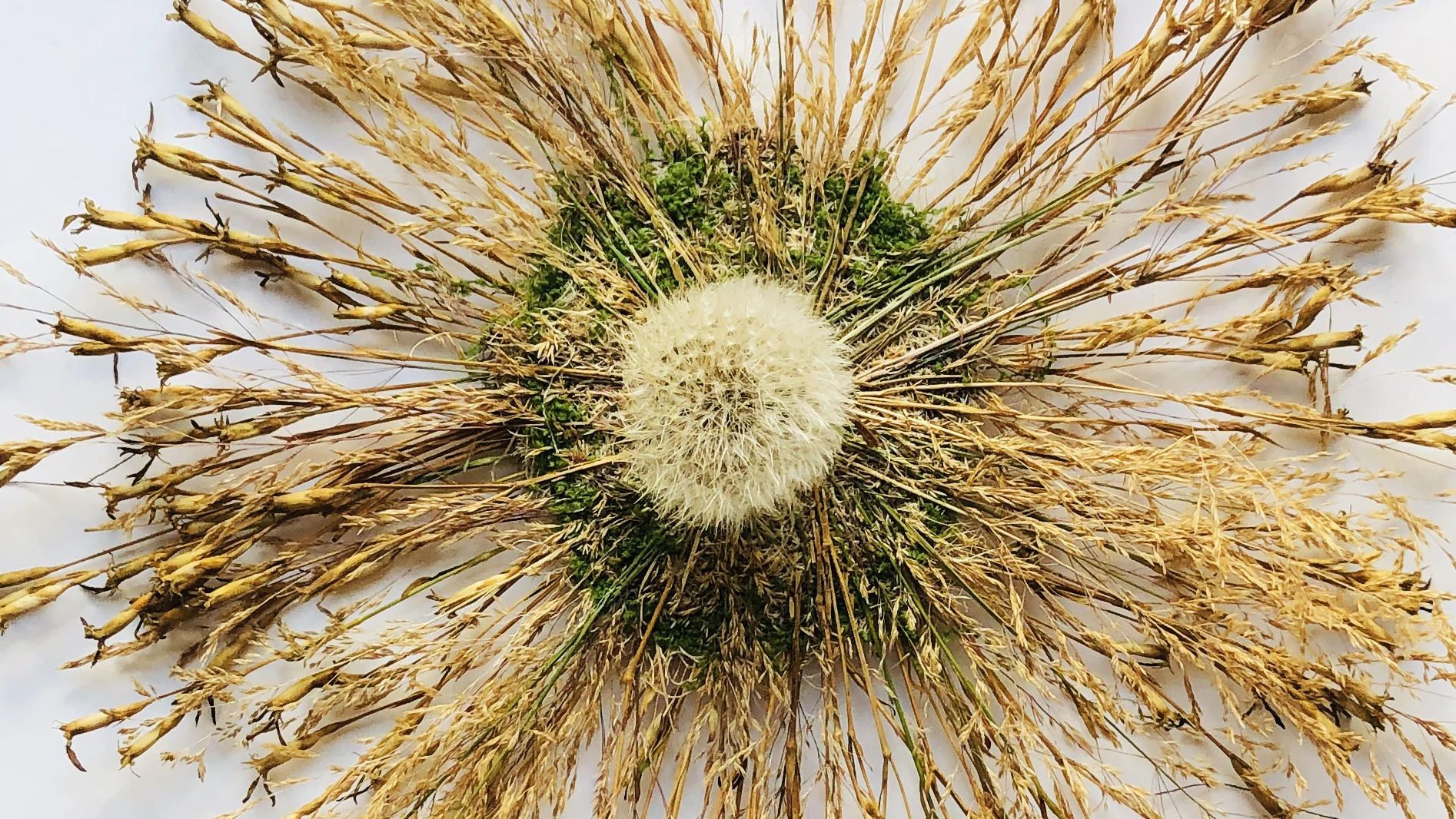 Caroline Hyde-Brown 2026 8 Header