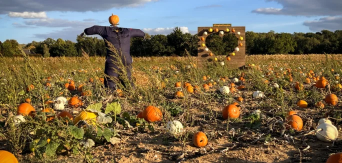 Pumpkins 2026 Heart and man 2
