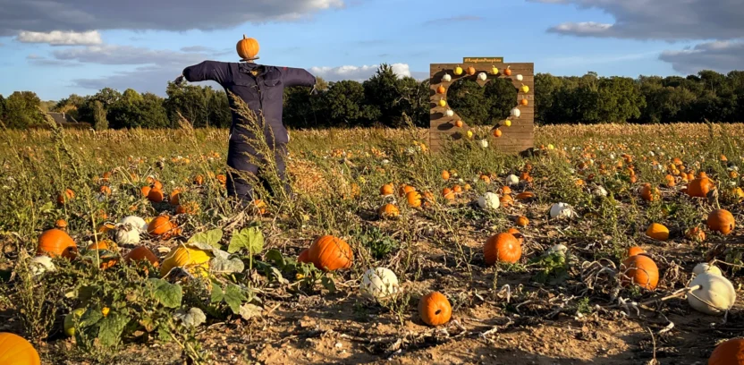 Pumpkins 2026 Heart and man 2