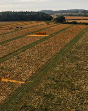 Pumpkins 2026 Drone 1