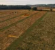 Pumpkins 2026 Drone 1