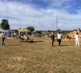 Pumpkins 2026 Field 1
