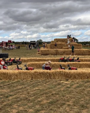 Pumpkins 2026 Field 7