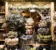 Christmas Shop 2026 12
