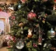 Christmas Shop 2026 13