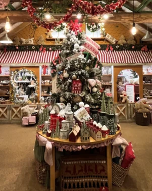 Christmas Shop 2026 16