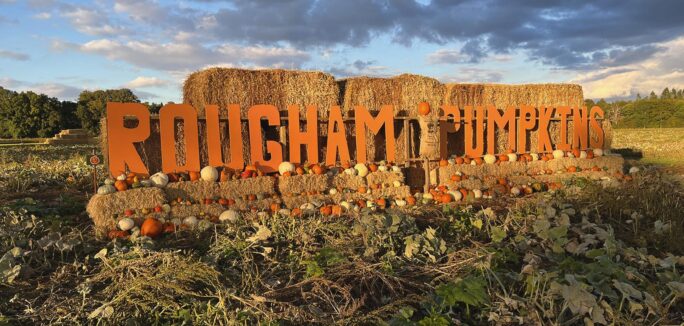 pumpkin-patch-img