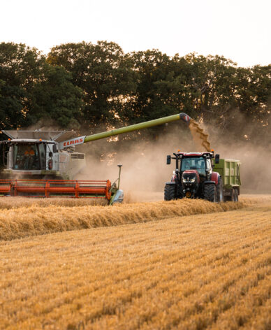 harvesting-in-action