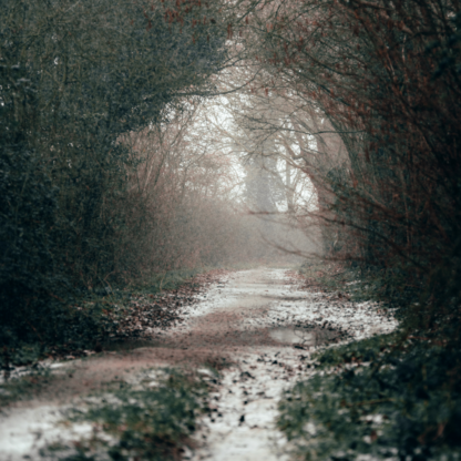 Rougham frosty path