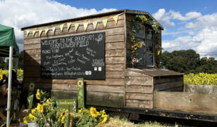 Sunflower Caravan 2