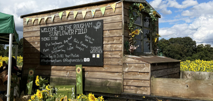Sunflower Caravan 2