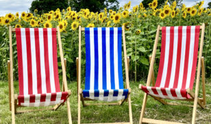 Sunflower Deckchairs 1