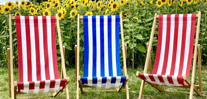 Sunflower Deckchairs 1