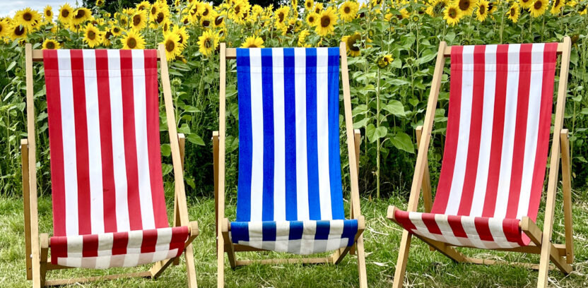 Sunflower Deckchairs 1