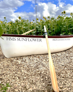 Sunflower HMS 1