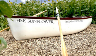 Sunflower HMS 1