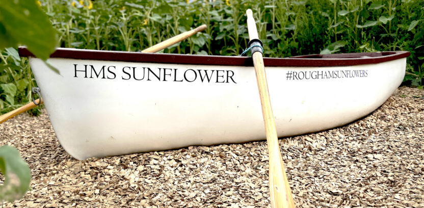 Sunflower HMS 1