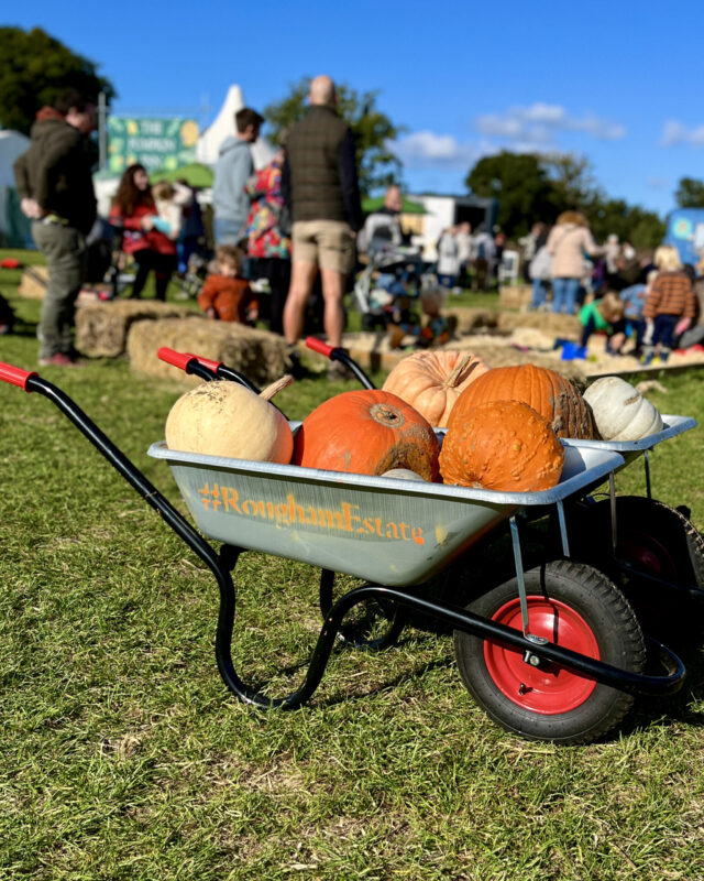 Pumpkins Barrow 2