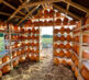 Pumpkins House 2