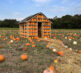 Pumpkins House 5