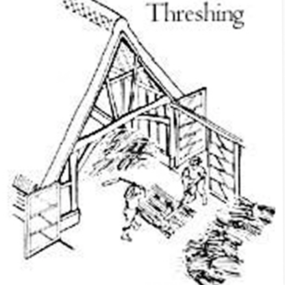 3 Threshing