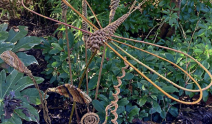 Workshop – Willow Dragonfly 1